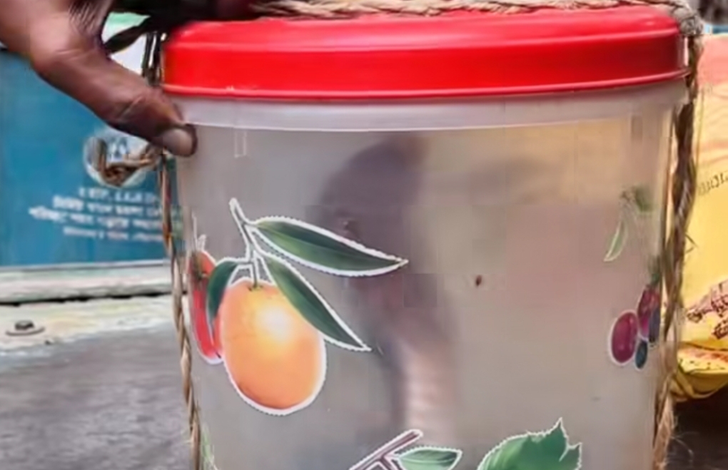 পাংশায় কামড় দেওয়া সাপ নিয়ে হসপিটালে যুবক