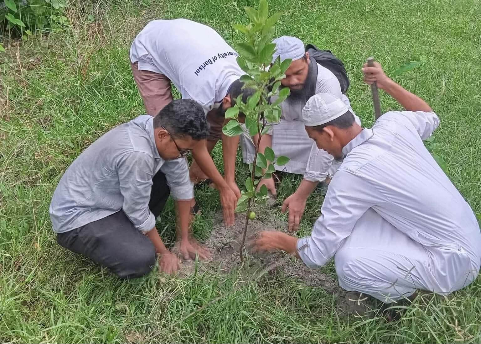 বিশ্ব পরিবেশ দিবস উপলক্ষে ইসলামী ছাত্র আন্দোলন বাংলাদেশ ববি শাখার বৃক্ষরোপণ কর্মসূচি